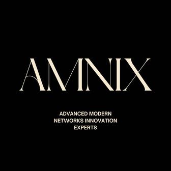Создание сайтов и IT-услуги под ключ AMNIX