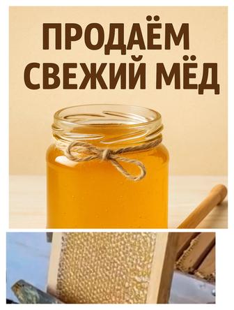 Мед! Горное разнотравье!