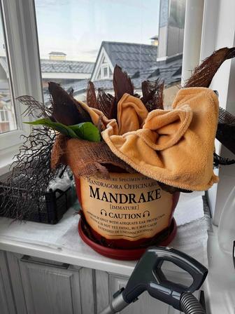 Мандрагора Гарри Поттера горшок для новорожденного до 1,5 лет