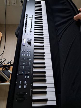 MIDI клавиатура Arturia KeyLab Essential 88 mk2 Black