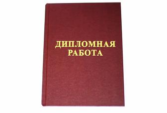 Консультация по написанию дипломной и диссертации, научной статьи,ККСОН