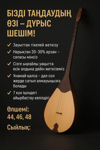 Домбыра профессиональный