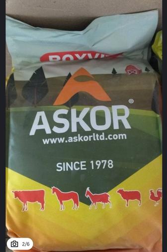 Премикс Askor ROXWIT