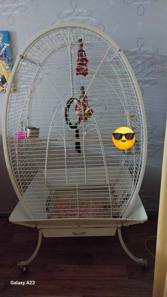 Продам большую клетку