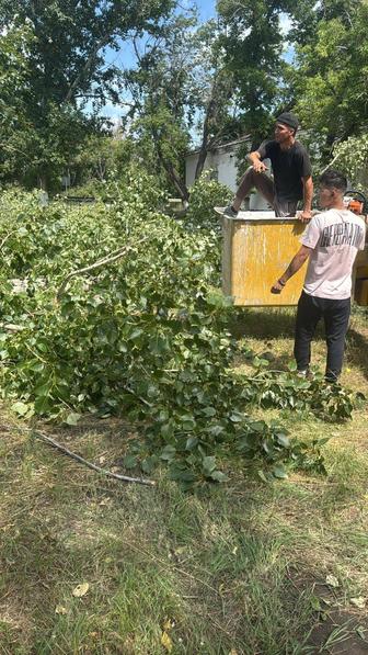 Спил деревни любой сложности