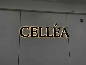 Вывески, буквы, лайтбоксы.