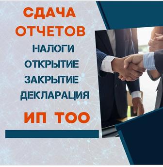 Отчеты ИП