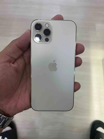 iPhone 12 Pro 512