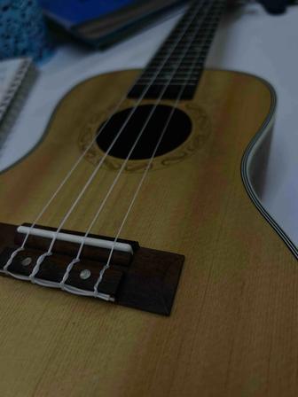 Гитара курсы