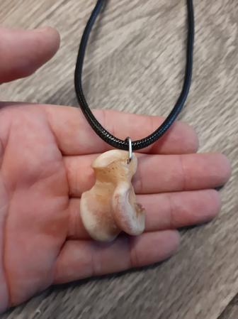 Асык волка большой.