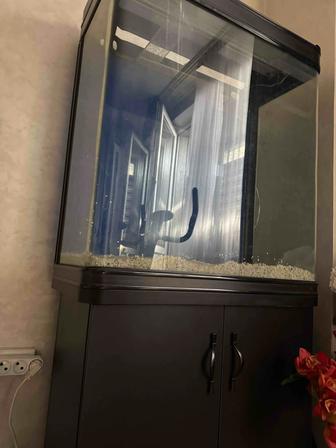 Продам аквариум с тумбой