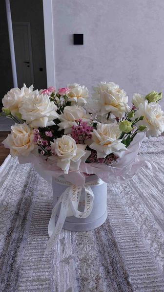 Продам цветы