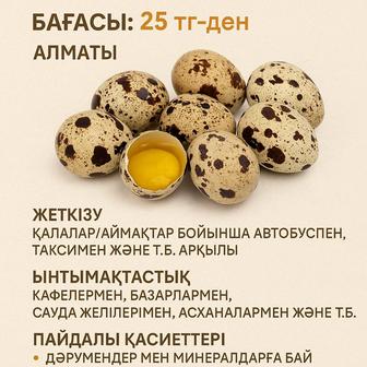 Үй жағдайында өсірілген бөдене жұмыртқалары