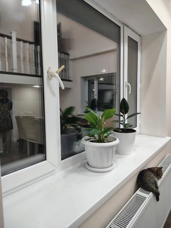 Уборка домов, квартир