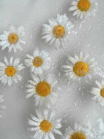 Строительство и ремонт