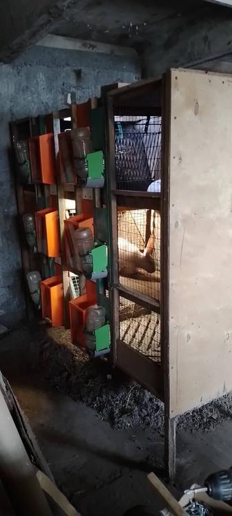 Продам клетку для кроликов.