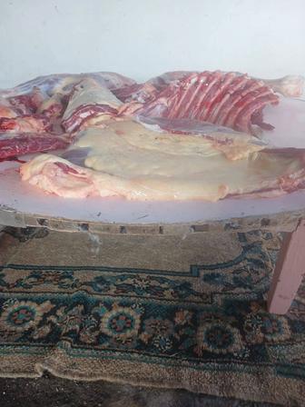 Қазы,шұжық айналдырамын,ет тұздамын