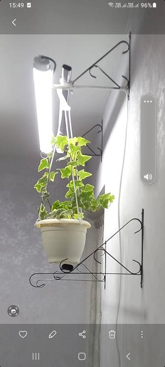 Светодиодные лампы для растений