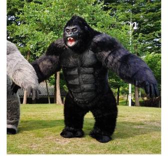 Профессиональные аниматоры на любые мероприятия,горилла
белая мишка