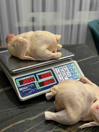 Тушки бройлеров