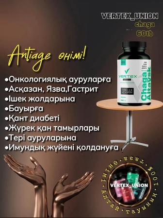 Чага