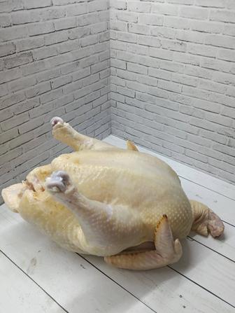 Мясо бройлера ( цыплята бройлеры)