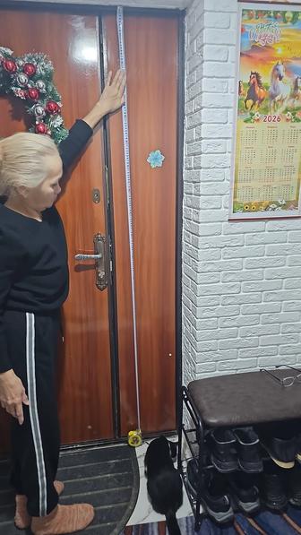 Входная железная дверь