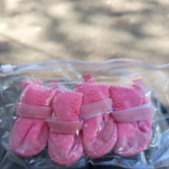 Сапожки для маленьких собак