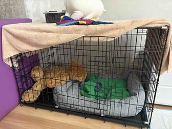 Продаются клетки для собак