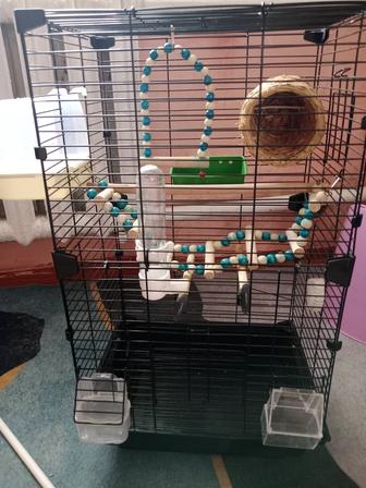 Клетка для попугая