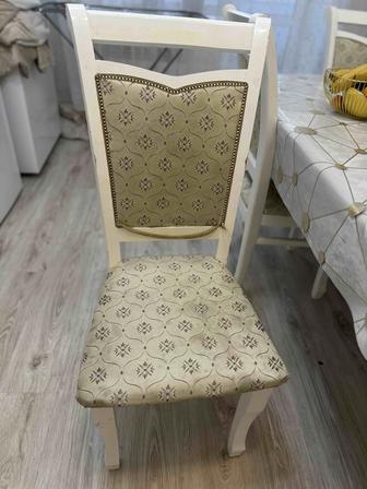 Продам стулья