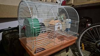 Продам домик для хомячка