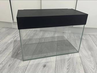 Аквариум в идеальном состоянии