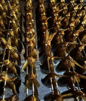 Пелядь горячего копчения