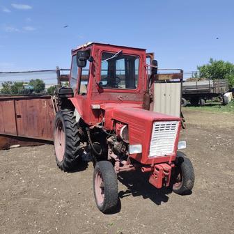 Владимирец -25