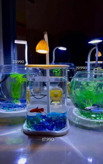 Аквариум и рыба