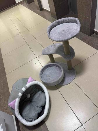 Для котят