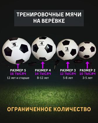 Тренировочные мячи на веревке