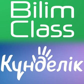 Профессиональные услуги и BilimKlass