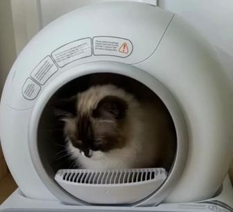 Продам Smart Box туалет/лоток торг уместен