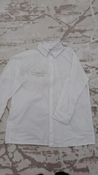 Әйелдер көйлектері