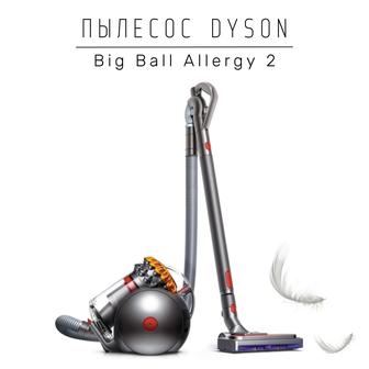 Пылесос Dyson Big Ball Allergy 2 (CY28) серый