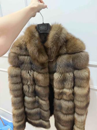 Продам баргузинский Соболь