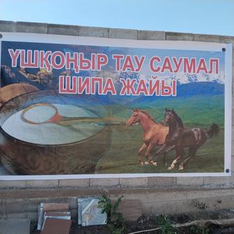 Ушконыр Тау Саумал шипажайы