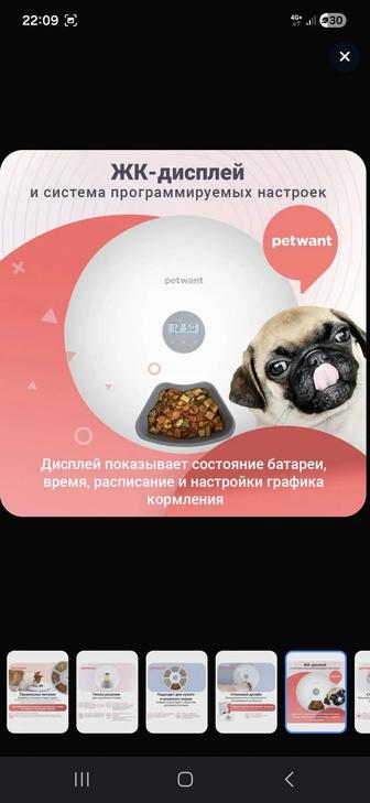 Petwant F6 1080 мл автокормушка