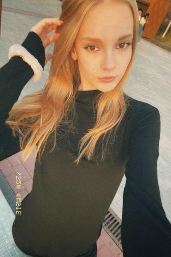 Аниматор