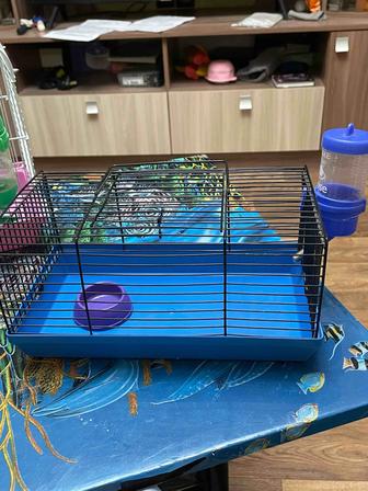 Клетки для хомяков.