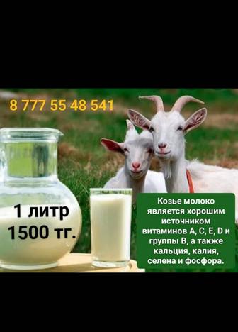 Продам козье молоко. Предзаказ. Доставка есть.