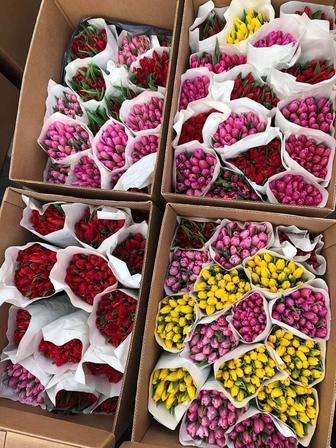 Тюльпаны по 850тг