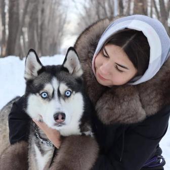 Выгул собак